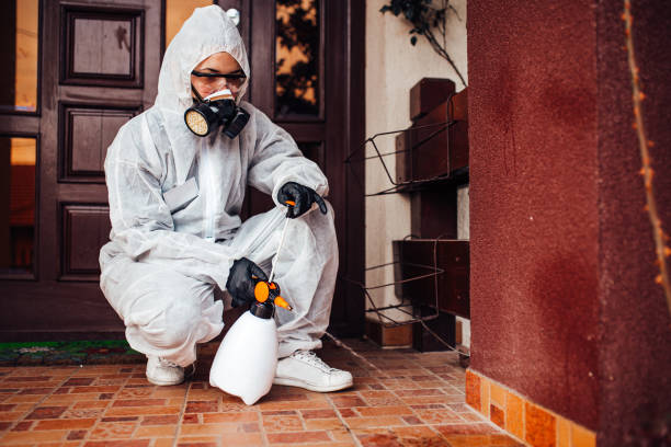 Attic and Crawl Space Rodent Treatment in Black River